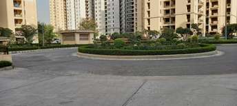 2 BHK Apartment For Rent in Jaypee Greens Kosmos Sector 134 Noida 6600268