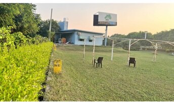 Plot For Resale in Jewar Greater Noida  6601109