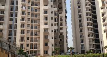 2 BHK Apartment For Resale in Amrapali Leisure Park Amrapali Leisure Valley Greater Noida 6601567