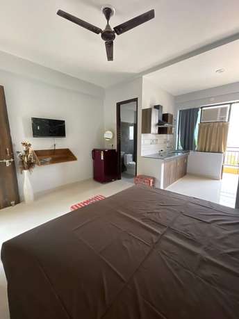 Studio Builder Floor For Rent in Ardee City Sector 52 Gurgaon 6602251