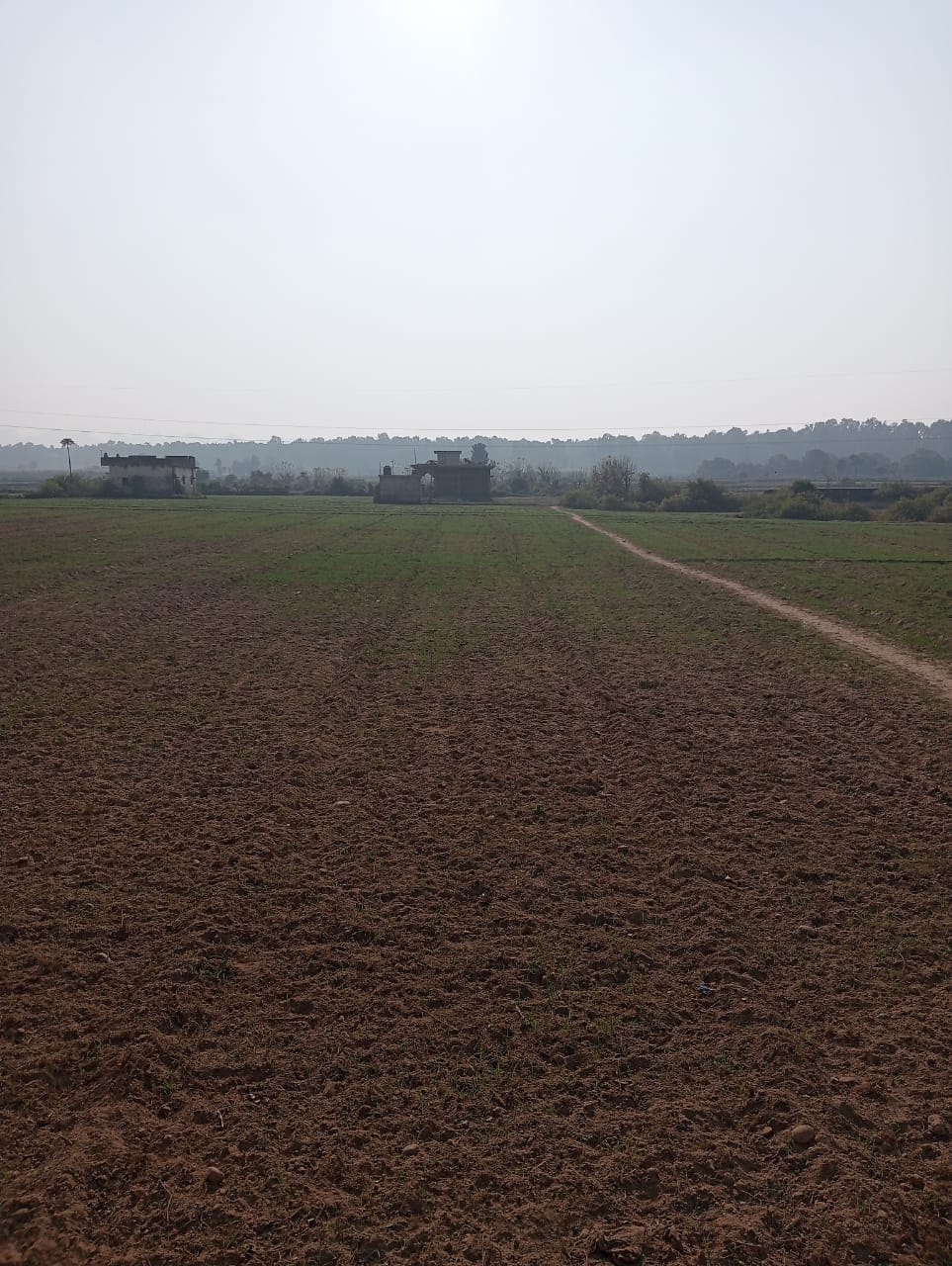 Property for Sale in Kurukshetra 10+ Property in Kurukshetra for Sale