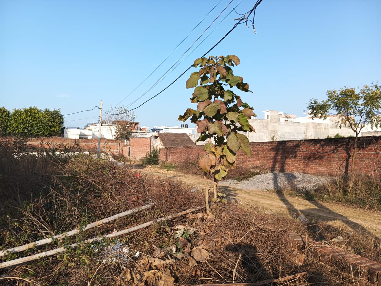 Plot For Resale in Iim Road Lucknow  6602901