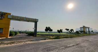  Plot For Resale in Sector 24 Dharuhera 6603390