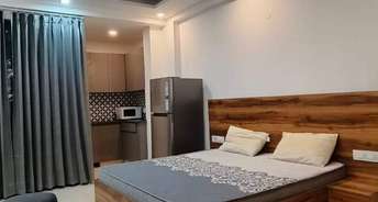 Studio Builder Floor For Rent in Sector 21a Gurgaon 6603475