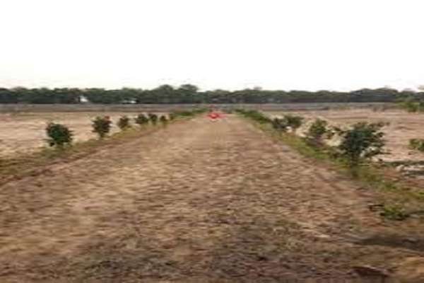 Plot For Sale In Bhondsi Locations