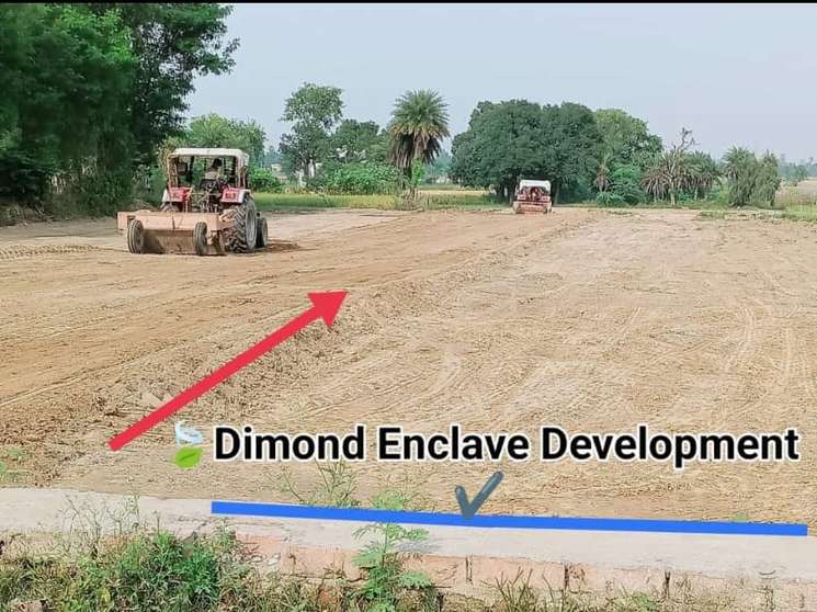 Dimond Enclave