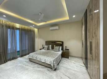 2.5 BHK Builder Floor For Rent in Sector 21a Gurgaon 6603649