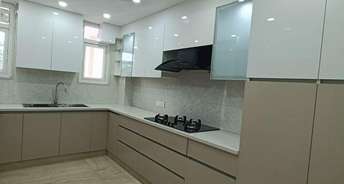 Studio Builder Floor For Rent in Sector 21 Gurgaon 6603694