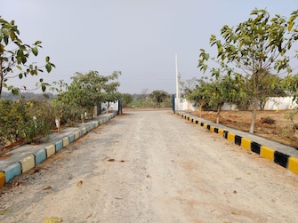 Plot For Resale in Shadnagar Hyderabad  6603761