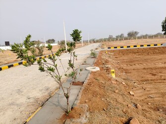 Plot For Resale in Shadnagar Hyderabad  6603761