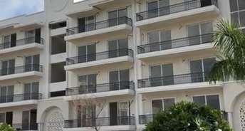 3.5 BHK Apartment For Resale in KharaR Banur Road Mohali 6604133