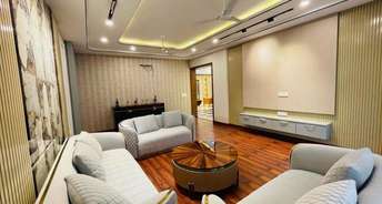 1 BHK Apartment For Rent in Ansal Celebrity Suites Sector 2 Gurgaon 6604143