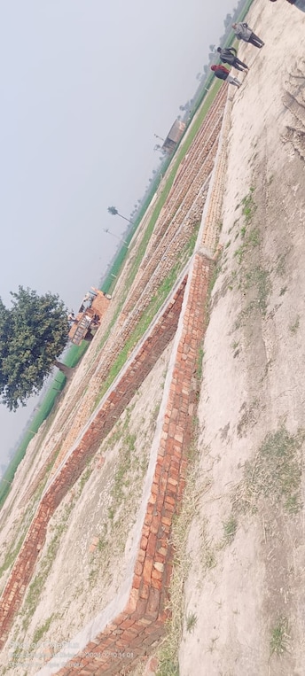 Plot For Resale in Sector 89 Faridabad  6604180