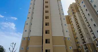 1 BHK Apartment For Resale in Manglam Shri Krishna Van Sirsi Road Jaipur 6604308