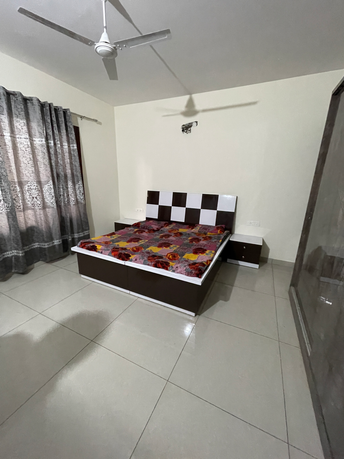3 BHK Builder Floor For Rent in Aerocity Mohali 6604480