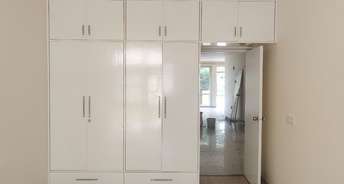 4 BHK Apartment For Rent in Sector 3 Panchkula 6604806