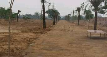  Plot For Resale in Sector 76 Gurgaon 6605134