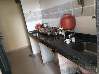 1 BHK Apartment For Resale in Dwisha Apartment Kalamboli Navi Mumbai  6605518