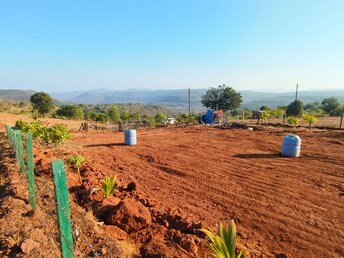 Plot For Resale in Mangaon Raigad  6605707