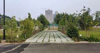  Plot For Resale in Lion Green Valley Sohna Sector 35 Gurgaon 6605725