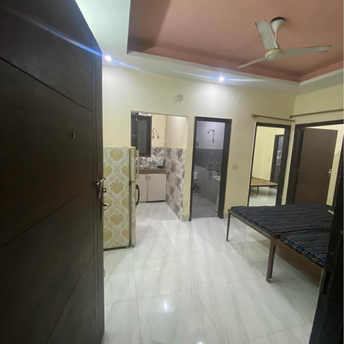2 BHK Apartment For Rent in Chattarpur Delhi 6606406