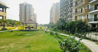 3 BHK Apartment For Resale in Kharar Landran Road Mohali 6606546