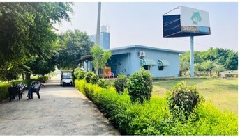 Plot For Resale in Jewar Greater Noida  6606990