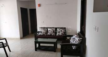 2.5 BHK Apartment For Resale in Amrapali Golf Homes Sector 4, Greater Noida Greater Noida 6606924