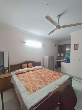 1 RK Apartment For Rent in Defence Colony Villas Defence Colony Delhi 6607533