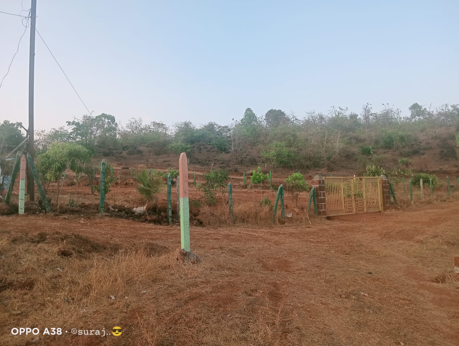 Plot For Resale in Mangaon Raigad  6607658