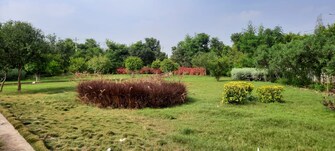 Plot For Resale in Ibrahimpatnam Hyderabad  6608523