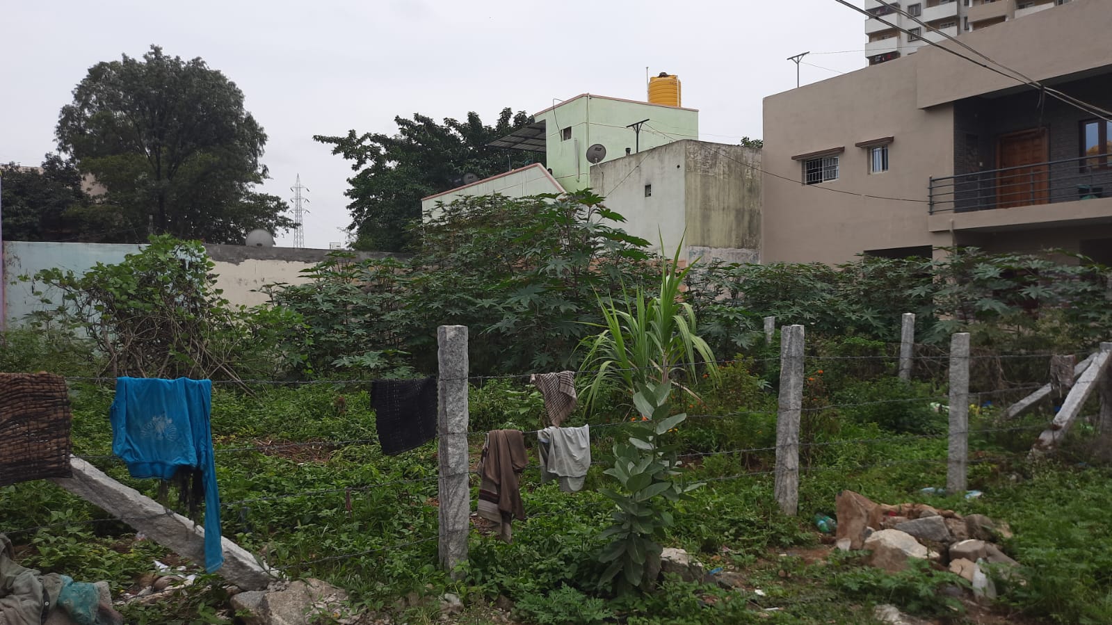 Plot For Resale in Peenya 2nd Stage Bangalore  6608534