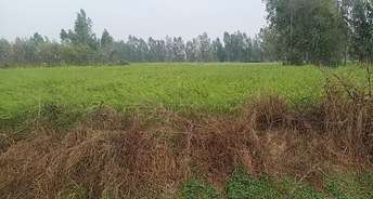 Commercial Land 6805 Sq.Ft. For Resale In Sisandi Lucknow 6608781
