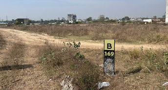  Plot For Resale in Sector 70 Faridabad 6608856