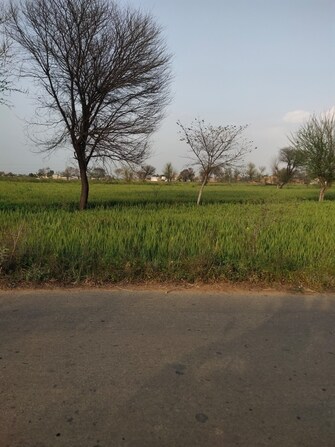 Commercial Land 17 Acre For Resale in Mohmmadpur Jharsa Gurgaon  6608969