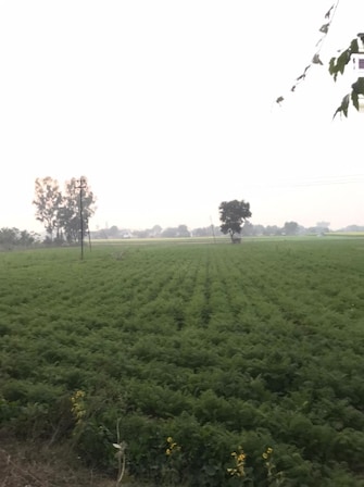 Commercial Land 17 Acre For Resale in Mohmmadpur Jharsa Gurgaon  6608969