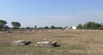  Plot For Resale in Sector 70 Faridabad 6608987