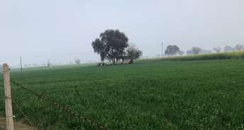 Commercial Land 16 Acre For Resale In Railway Colony Rewari 6609015