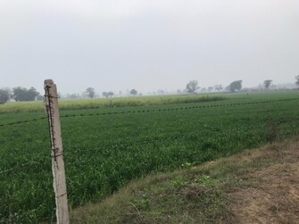 Commercial Land 16 Acre For Resale in Railway Colony Rewari  6609015