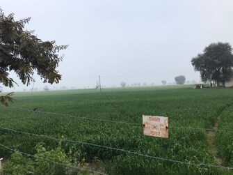 Commercial Land 16 Acre For Resale in Railway Colony Rewari  6609015