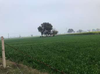 Commercial Land 9 Acre For Resale In Railway Colony Rewari 6609062
