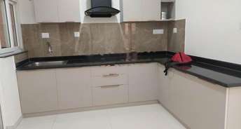 3 BHK Apartment For Rent in Sobha Clovelly Padmanabha Nagar Bangalore 6609068