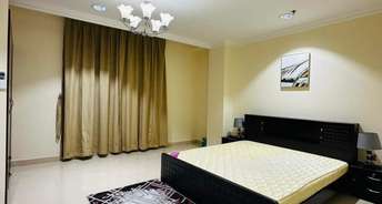 1 BHK Apartment For Rent in Today Ridge Residency Sector 135 Noida 6609285