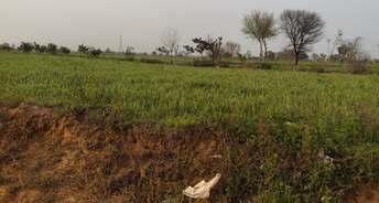 Commercial Land 2 Acre For Resale In Tigra Gurgaon 6610238