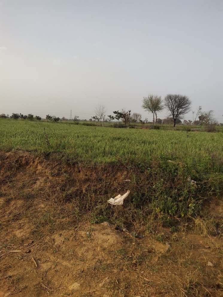 Commercial Land 2 Acre in Tigra Gurgaon