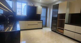 3 BHK Builder Floor For Rent in DLF Atria Dlf Phase ii Gurgaon 6610501