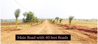 Plot For Resale in Zaheerabad Sangareddy  6610935