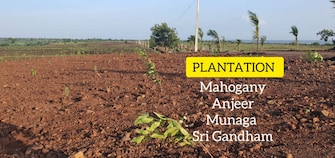 Plot For Resale in Zaheerabad Sangareddy  6610935