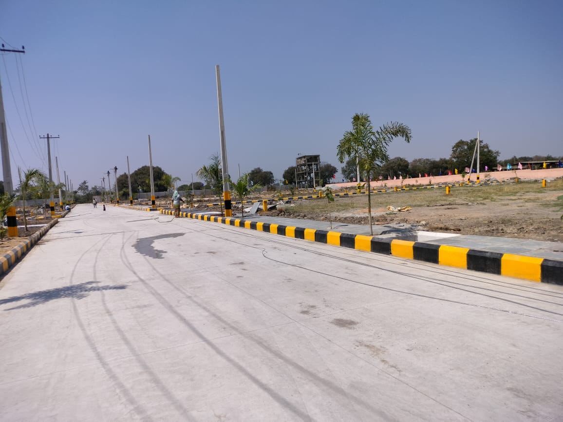 Plot For Resale in Mulug Hyderabad  6610941