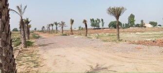 Plot For Resale in Tappal Aligarh  6611009